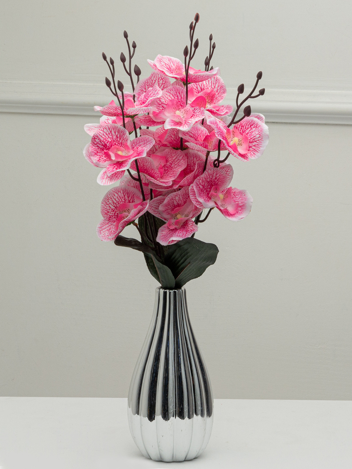 Цветы. Сборные фотосъёмки в Москве. фотосессии одежды.фотограф