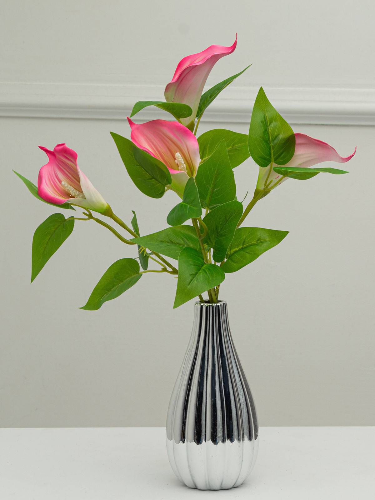 Цветы. Сборные фотосъёмки в Москве. фотосессии одежды.фотограф