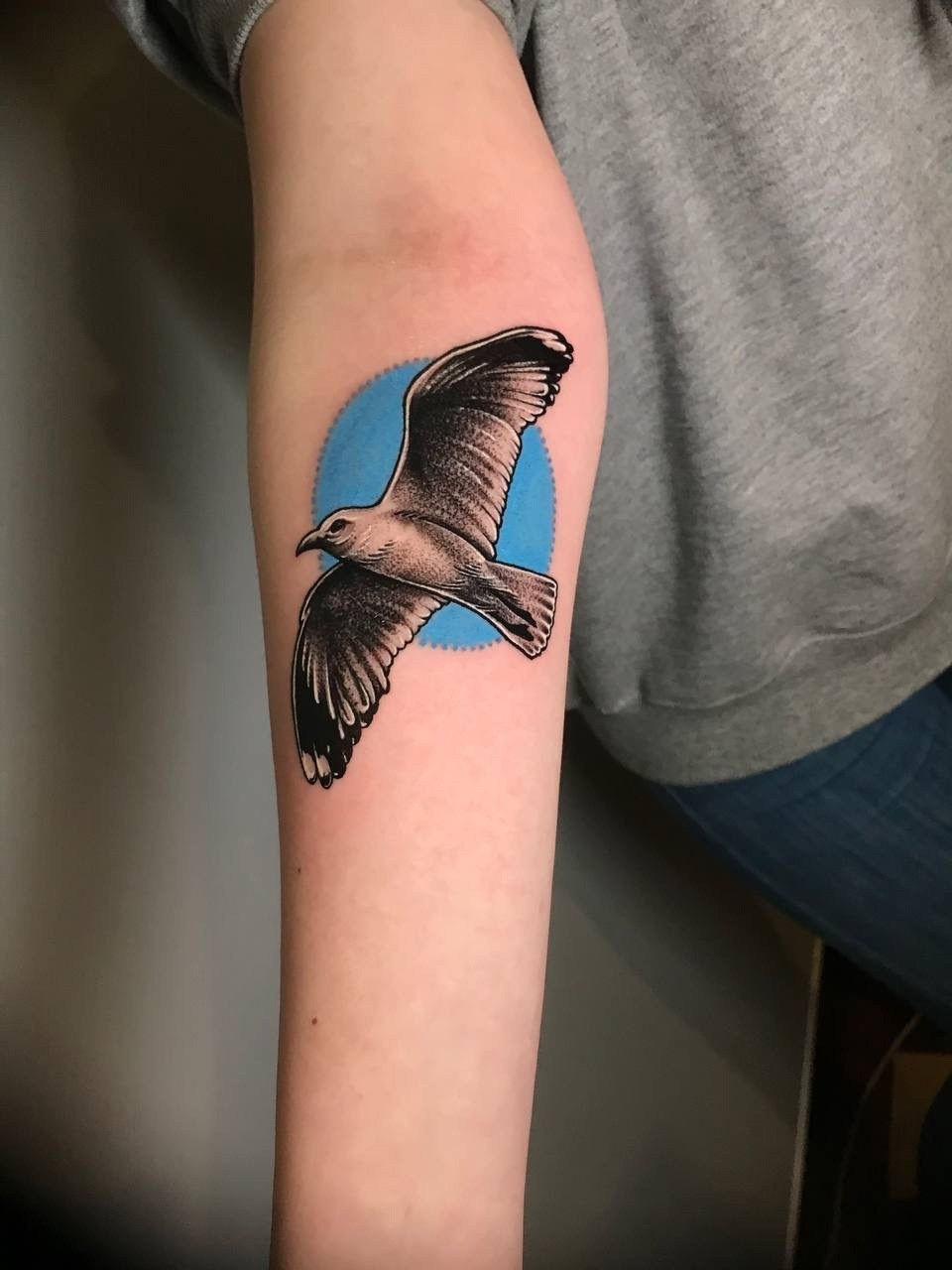 Работы Тимофея