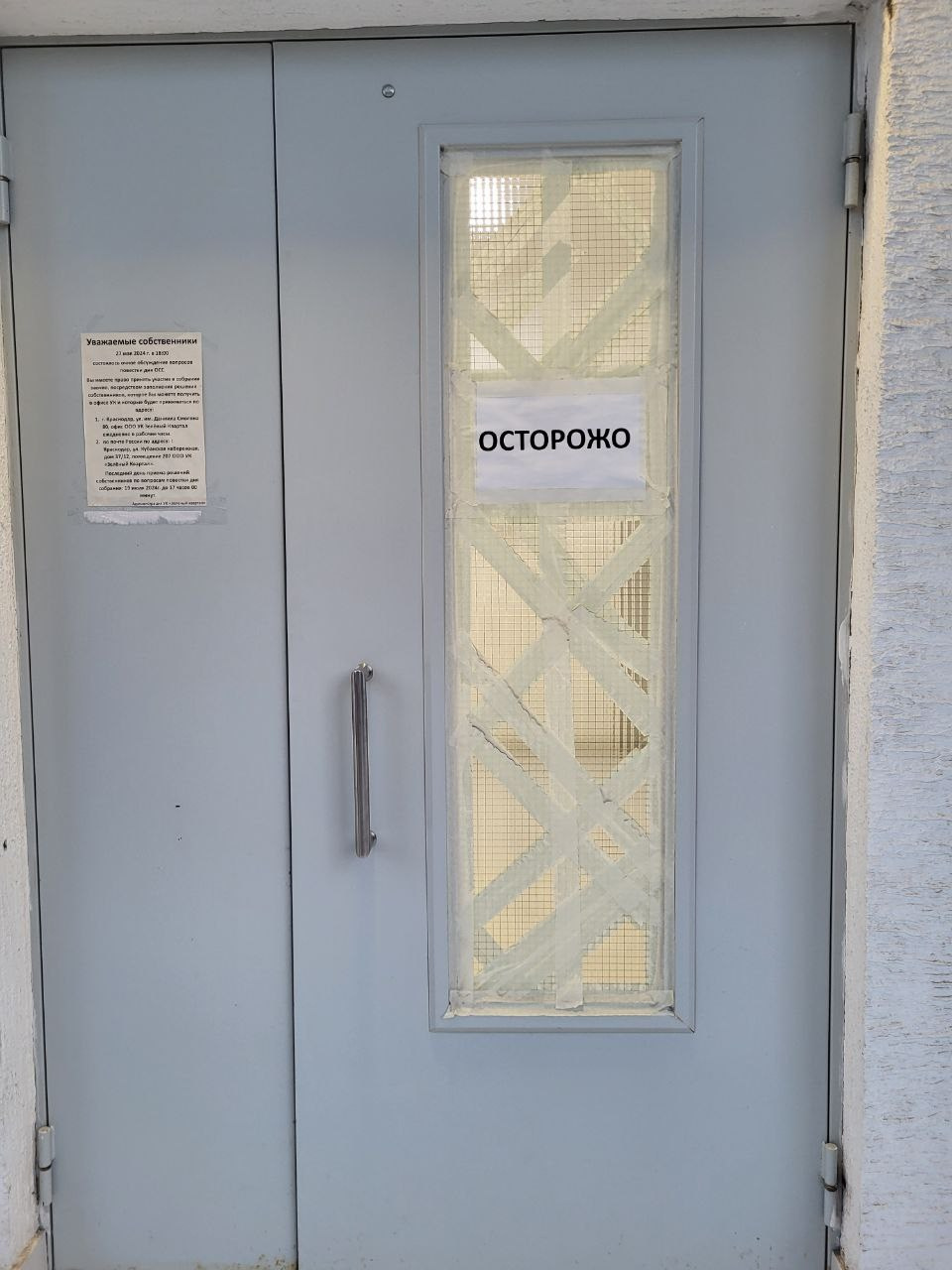 Проект «366»|2024|Фото каждый день. LENA GRACE photographer ||ЛЕНА ГРЭЙС фотограф