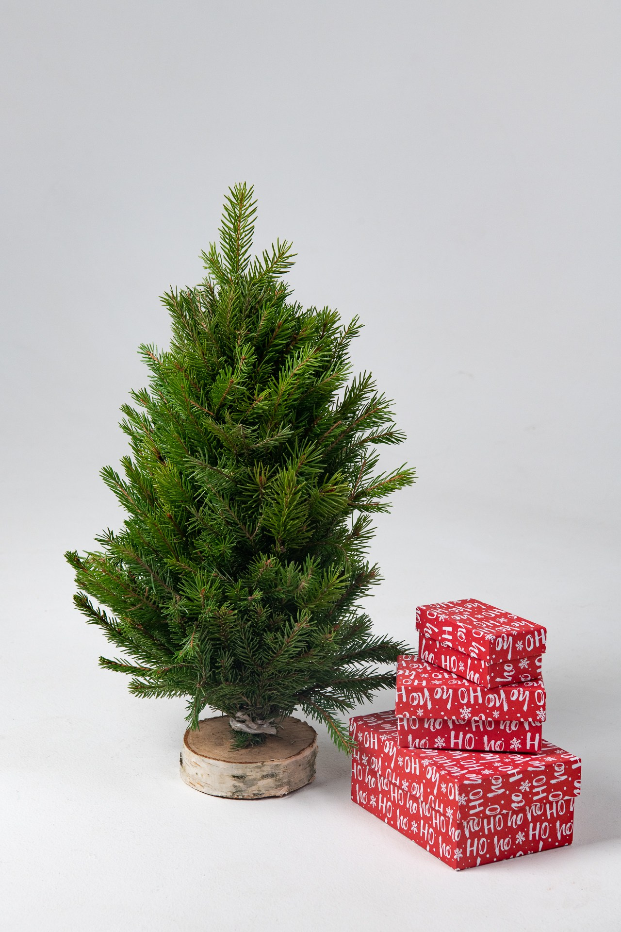 Предметная съемка елок. Фомина Елена Свадебный и семейный фотограф