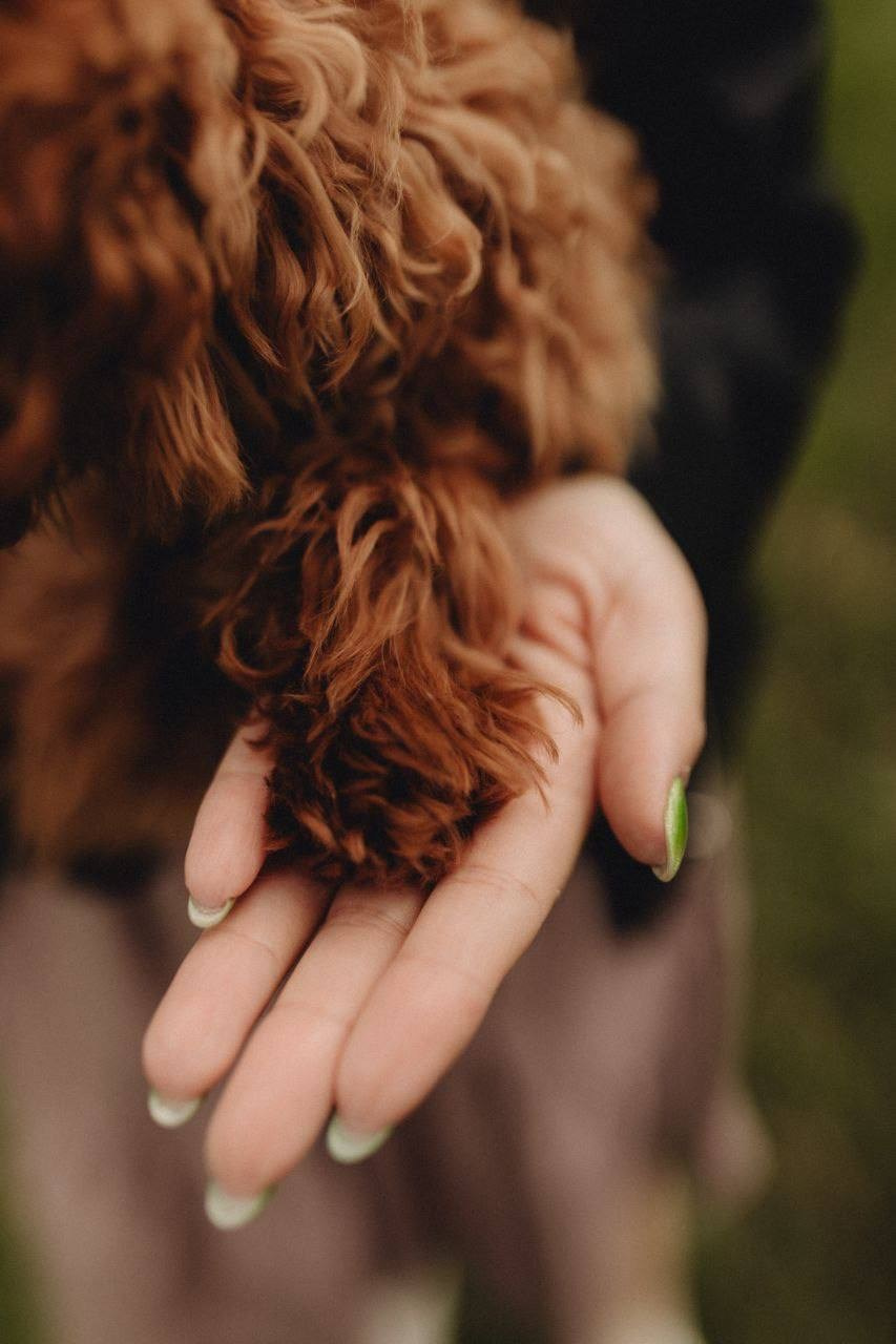 С ЖИВОТНЫМИ. Фотограф Анастасия Гончарова