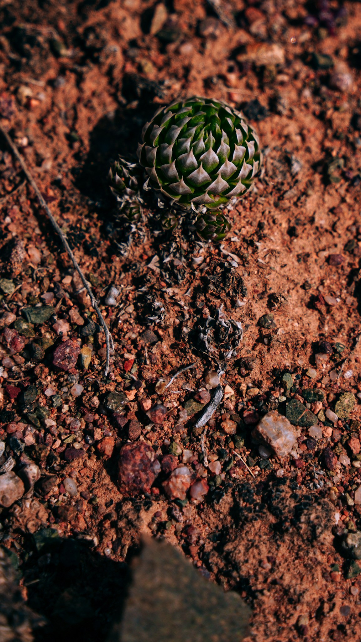 Кыргызстан. Человек с фотокамерой