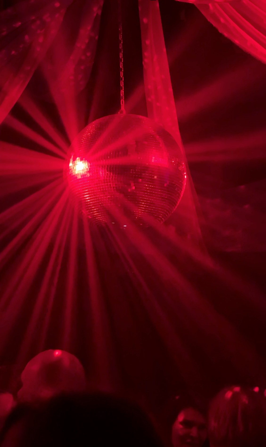 Выставка искусств. Александра Мельниченко/ Бегающий фотограф