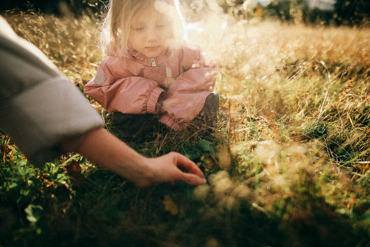 Теплая Осень. Соня Черных (sophieblack)