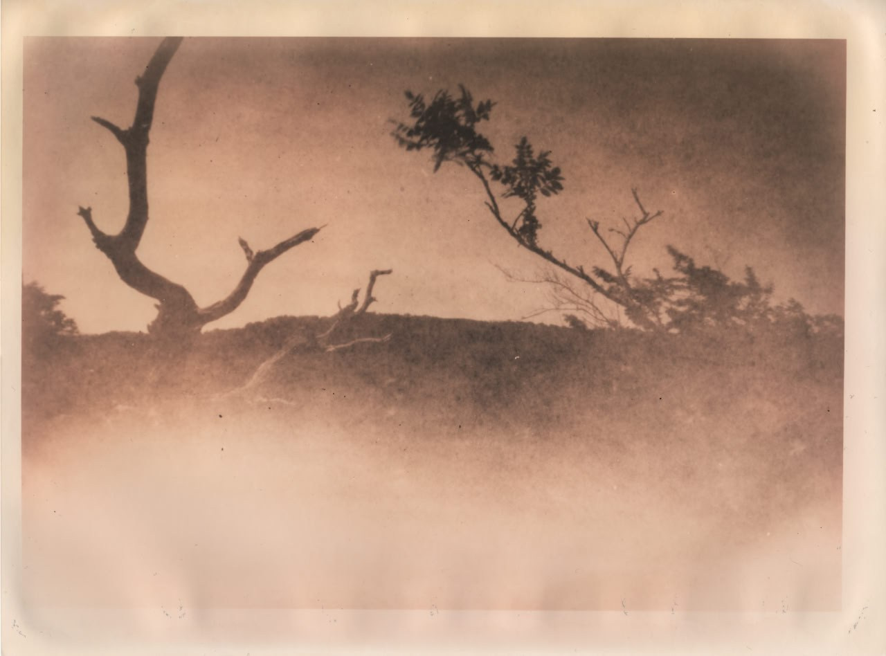 Фото-альтернатива. Данил Андреев, мультидисциплинарный художник, Санкт-Петербург