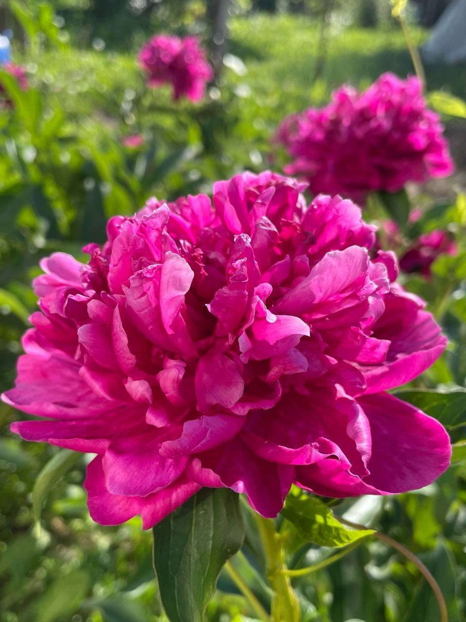 Взгляд сквозь объектив. Портретный фотограф город Уфа