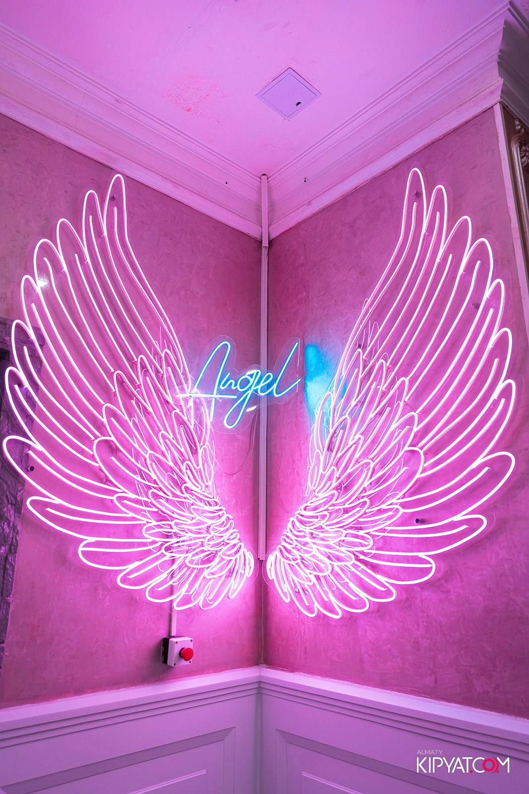 УХО И МЕДВЕДЬ НА КУРМАНГАЗЫ. КИПЯТКОМ АЛМАТЫ!