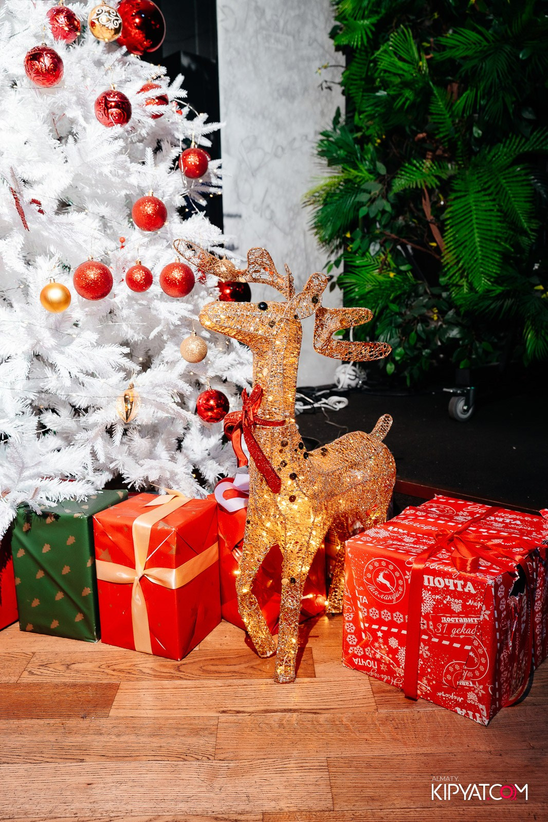 УХО И МЕДВЕДЬ НА КУРМАНГАЗЫ. КИПЯТКОМ АЛМАТЫ!