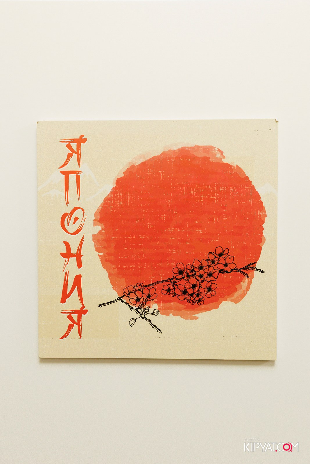 УХО И МЕДВЕДЬ НА ГАГАРИНА. КИПЯТКОМ АЛМАТЫ! Фотосъемка мероприятий в Алматы