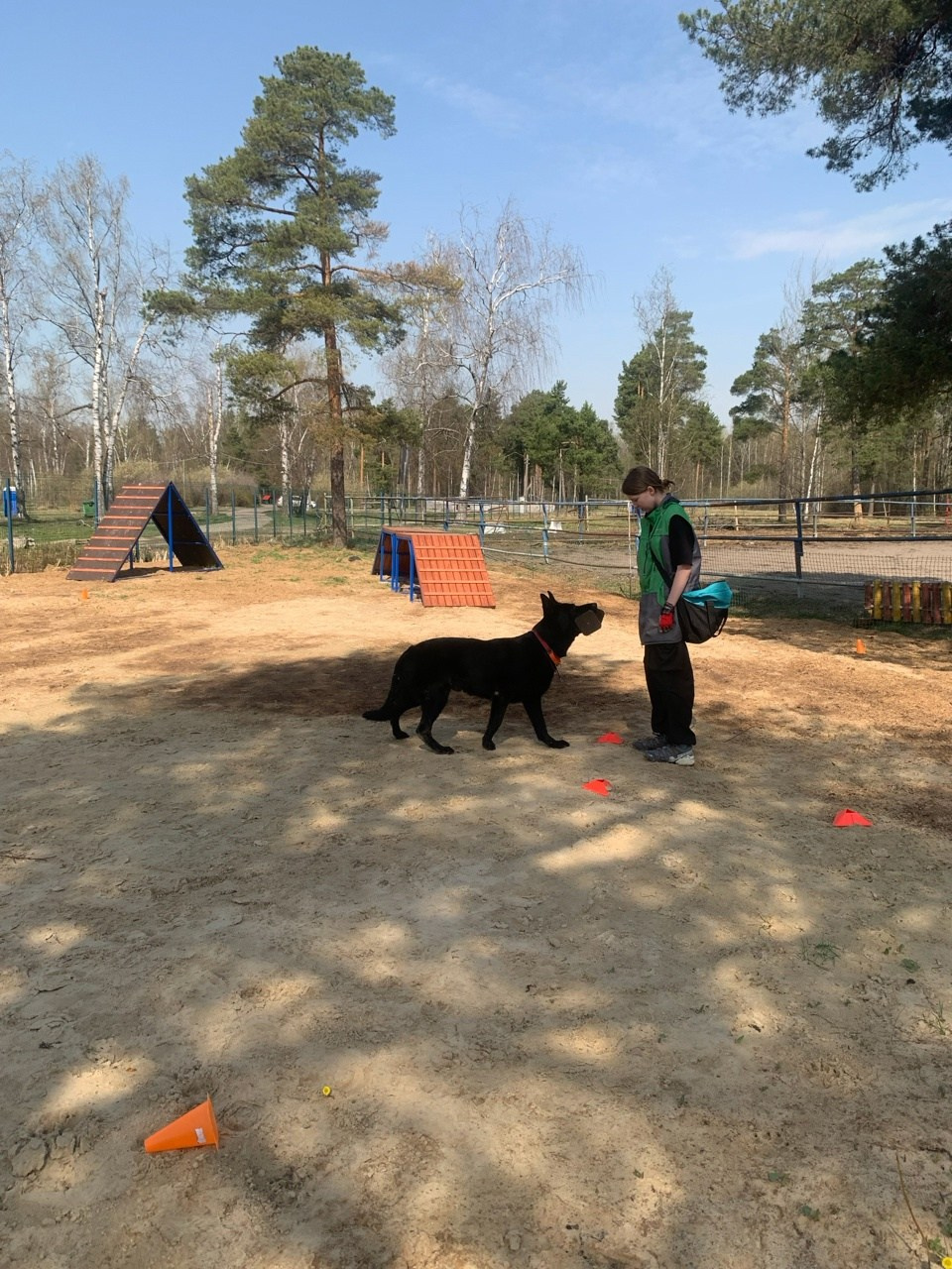 Практические занятия по дрессировке. НРОО КЦ "Собаковод"