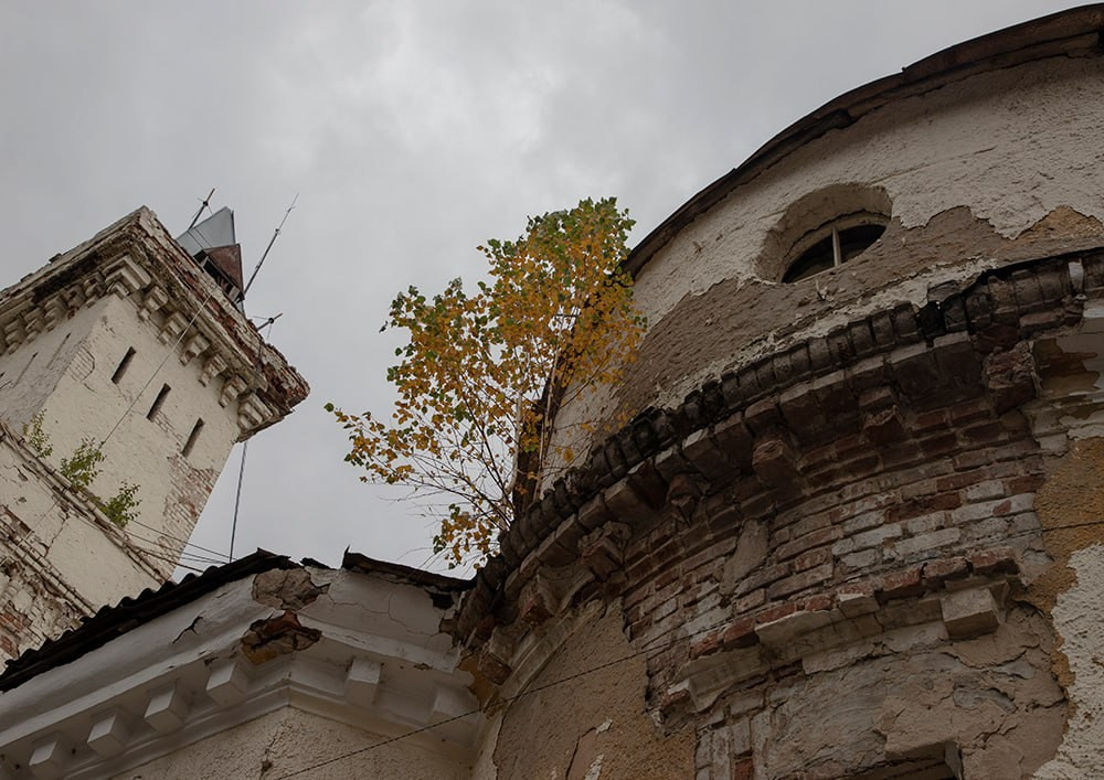 Улица Таранченко. «ФотоСинтез»