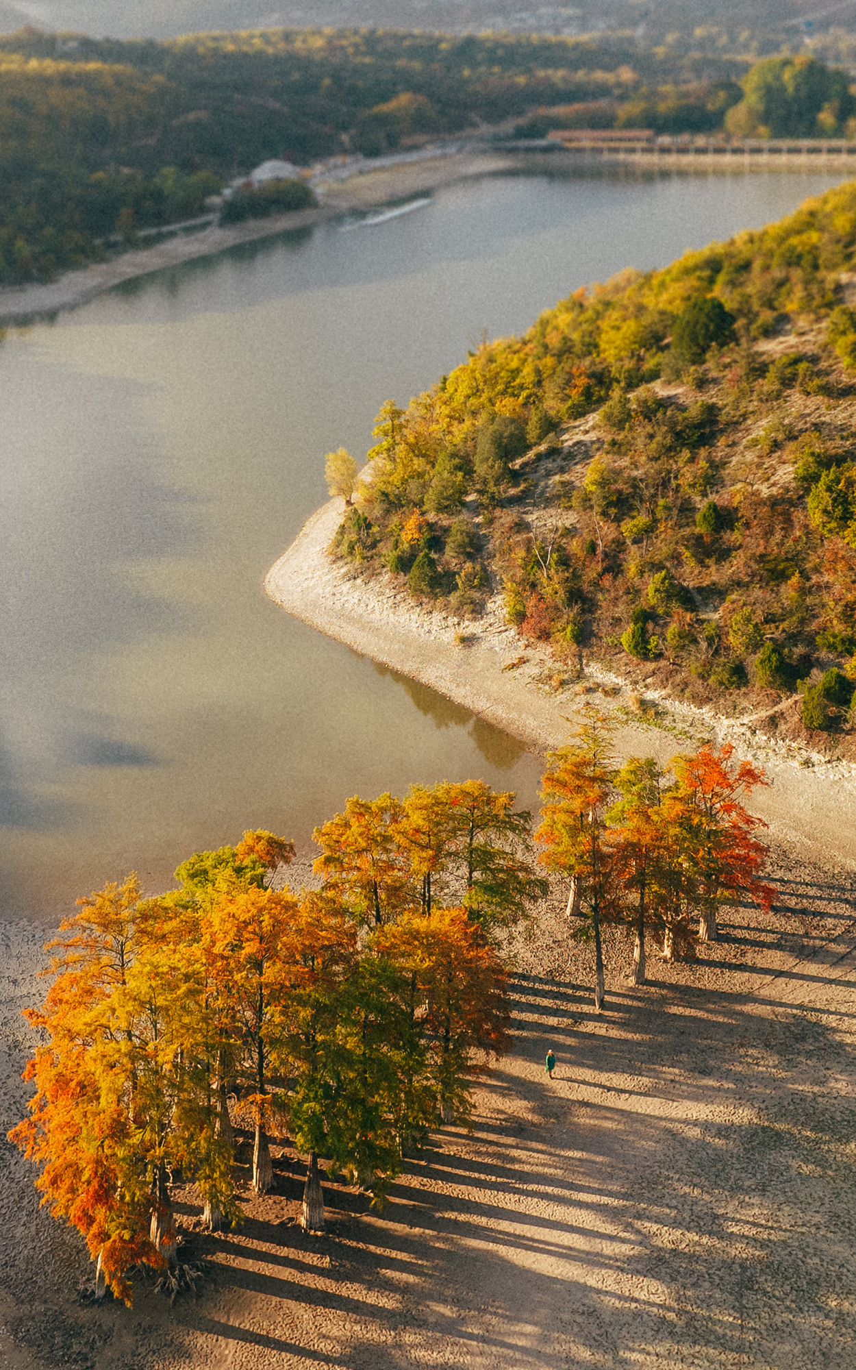 СУККО | КИПАРИСЫ