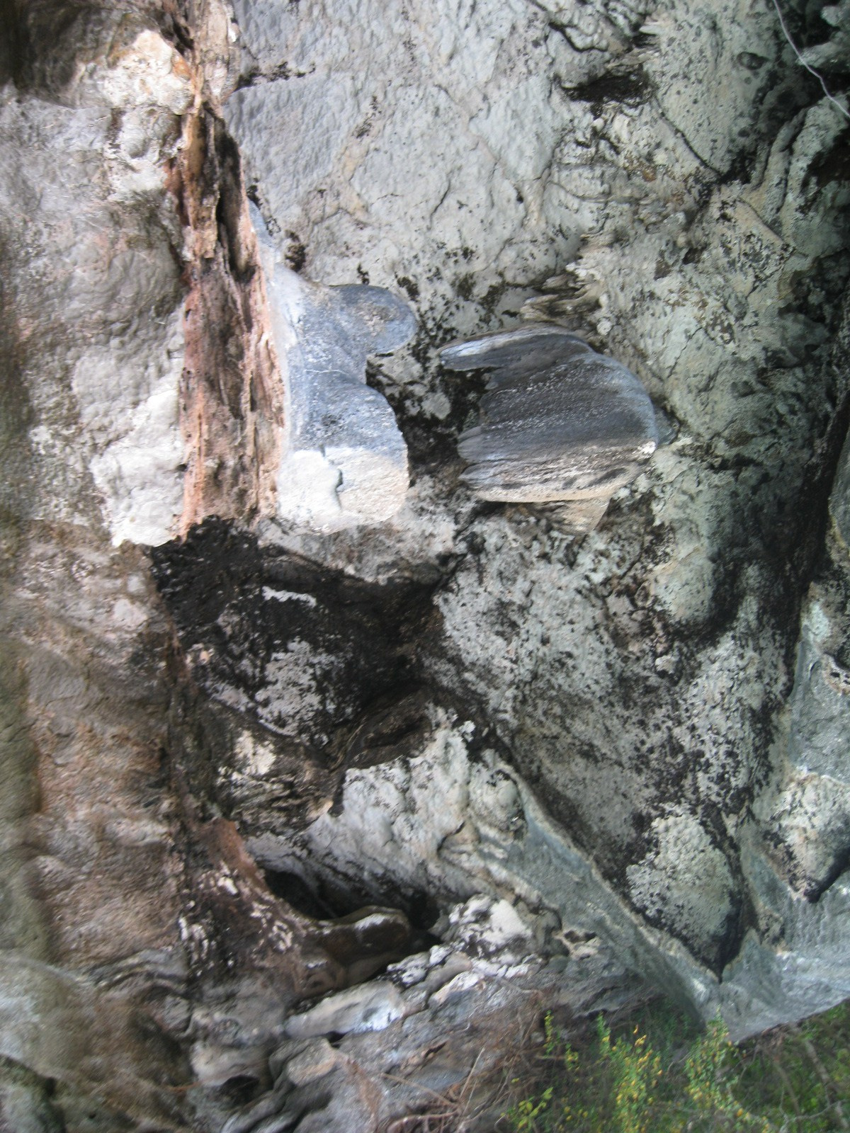 Тайланд 2012 г. Улица, люди, жизнь…