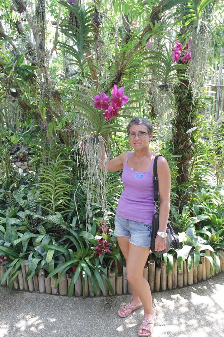 Тайланд 2014 г. Улица, люди, жизнь…