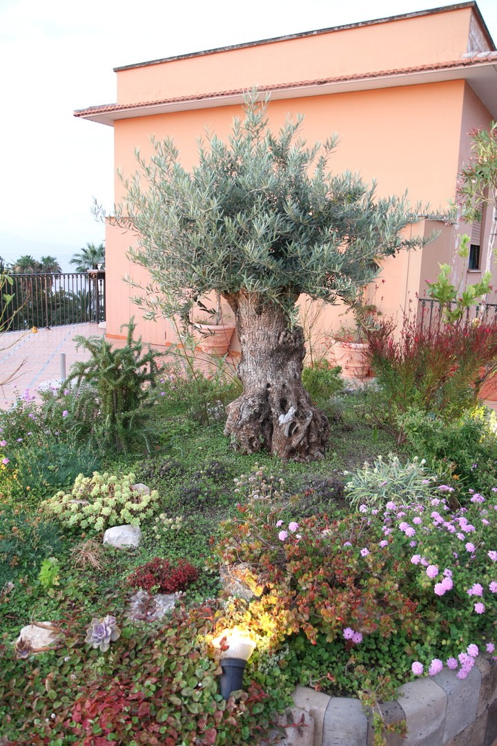 Италия. Сорренто 2011. Улица, люди, жизнь…