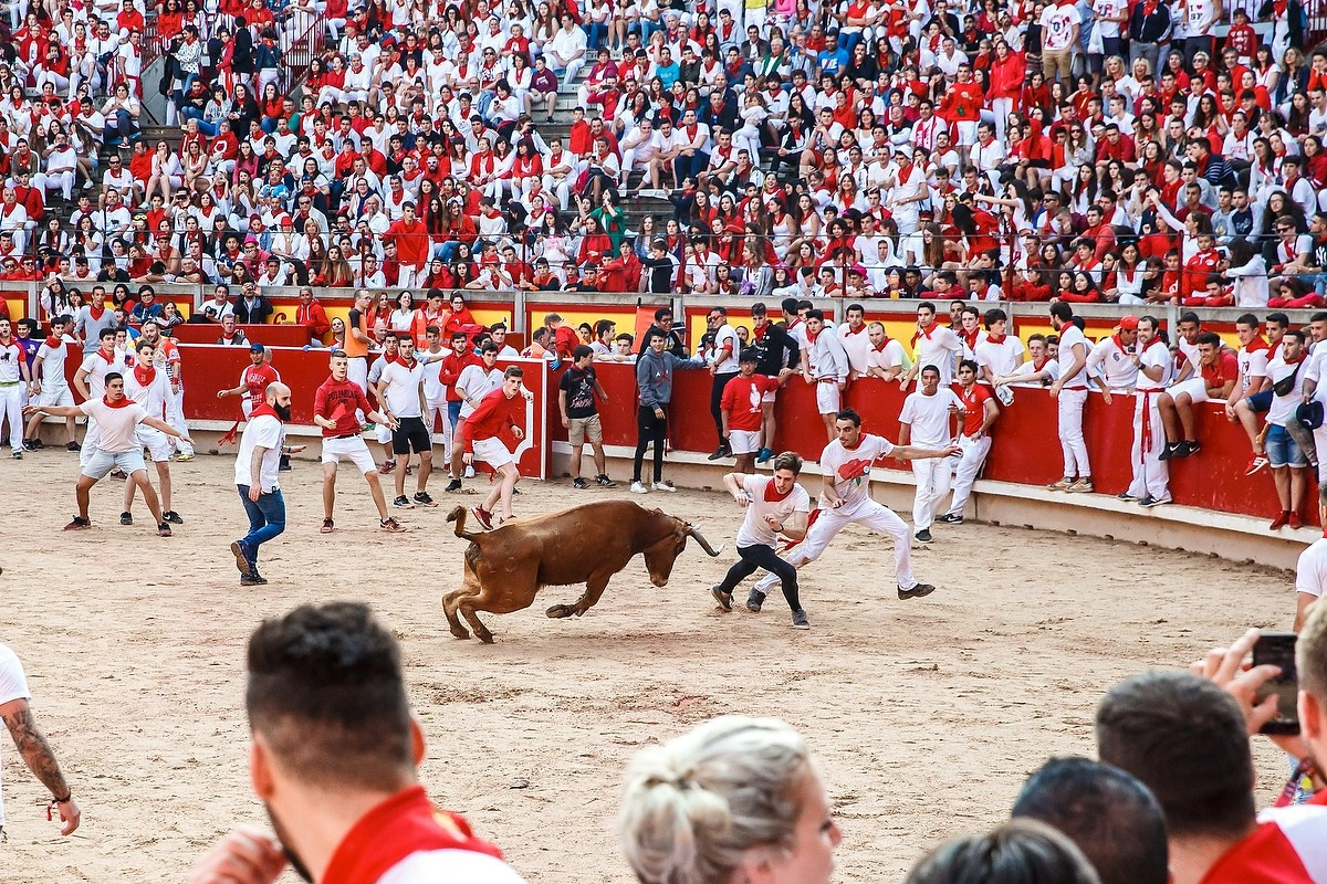 Фестивали. Фотограф Ольга Че