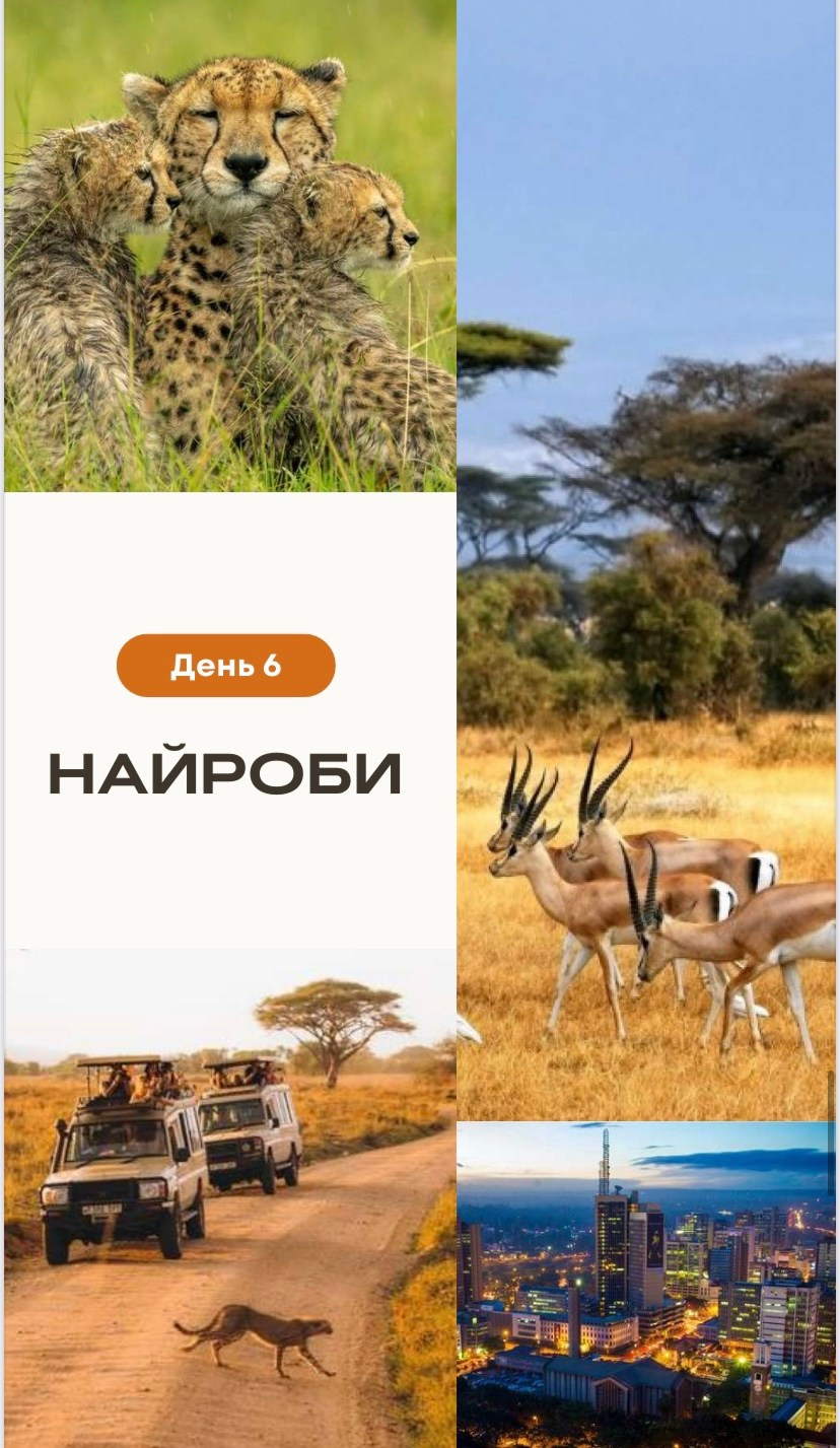 КЕНИЯ 20-26,03. Семейный фотограф, фотосессия беременности в Новосибирске Кристина Киб