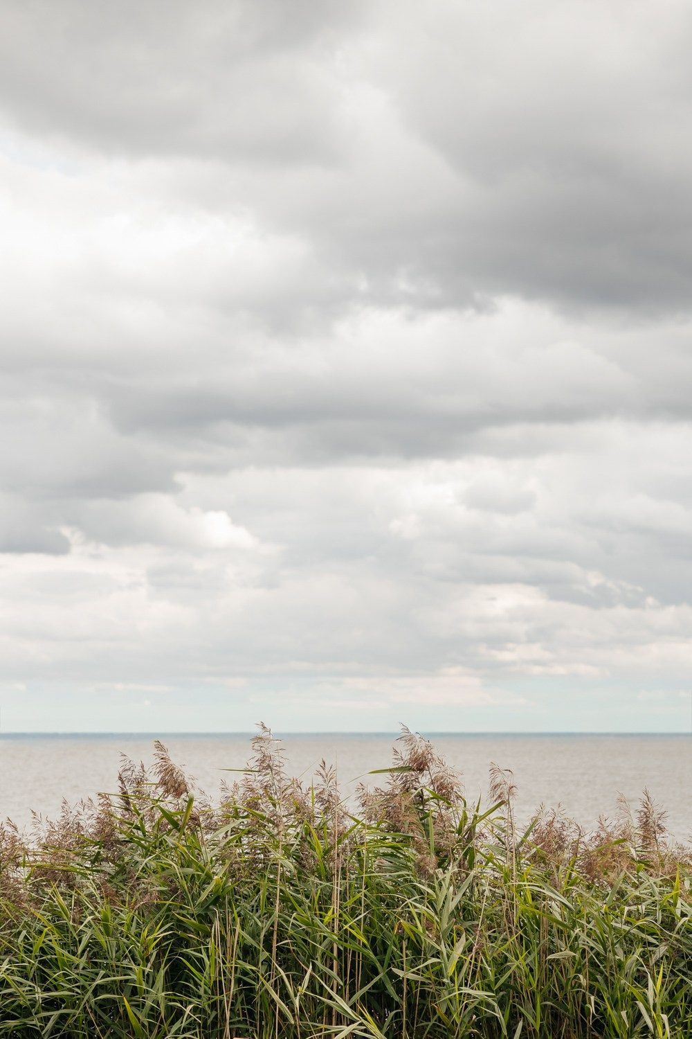 N & S. Свадебный фотограф Москва