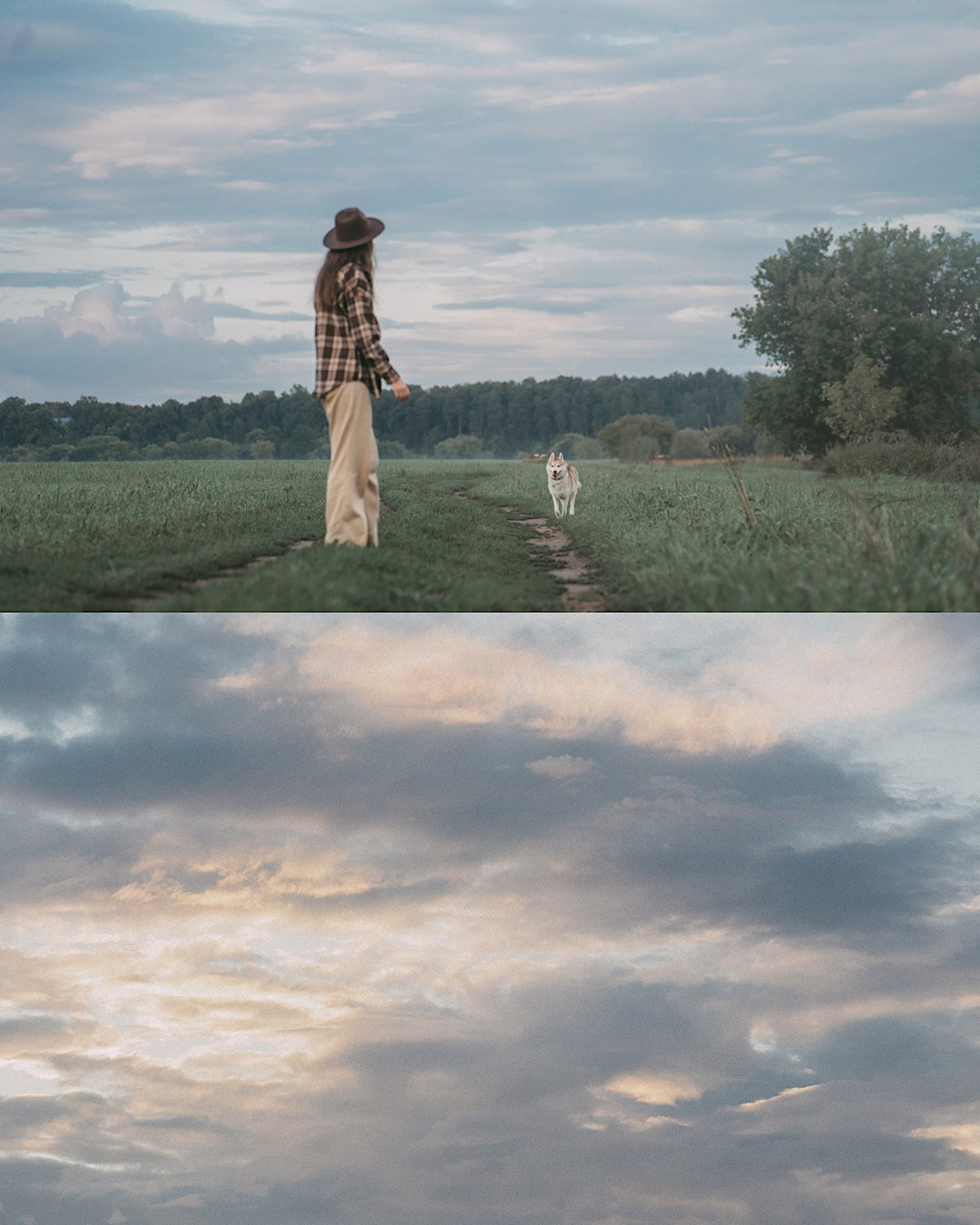 Мария и Джесси. Фотограф анималист в Москве и Санкт-Петербурге Свиридова Анна