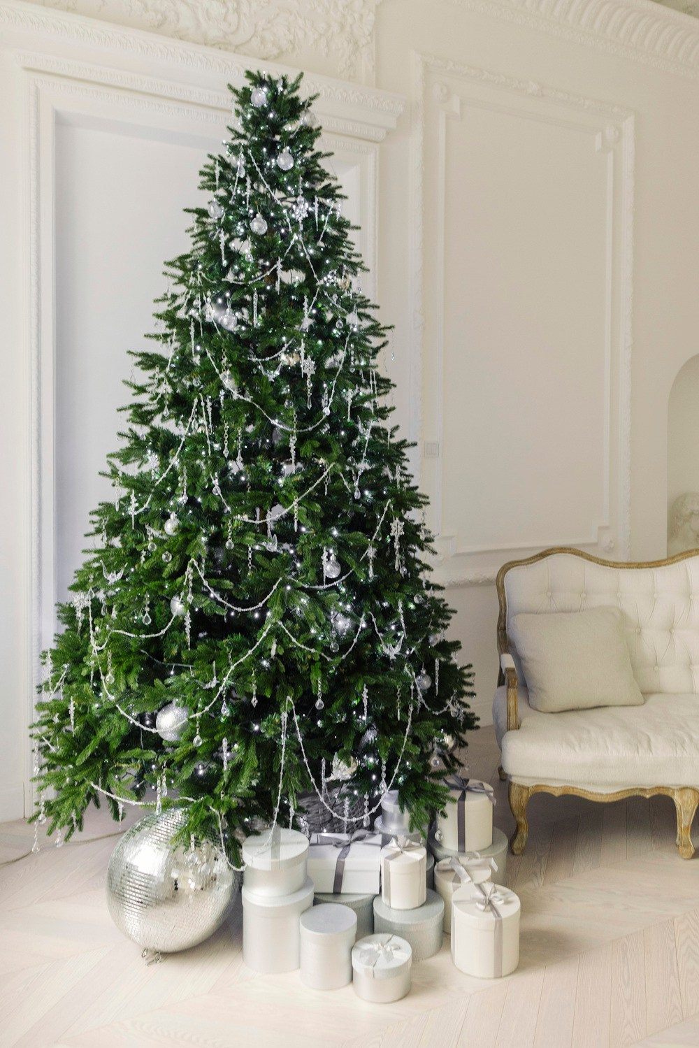 Фотодень «Душа Балета» в Санкт-Петербурге. Балетный фотограф Алина Ханько — Душа Балета