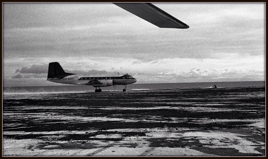 Исторические фотографии. Фотоальбом показывающий увлекательный мир авиации и мир медведей Андрея Иванова