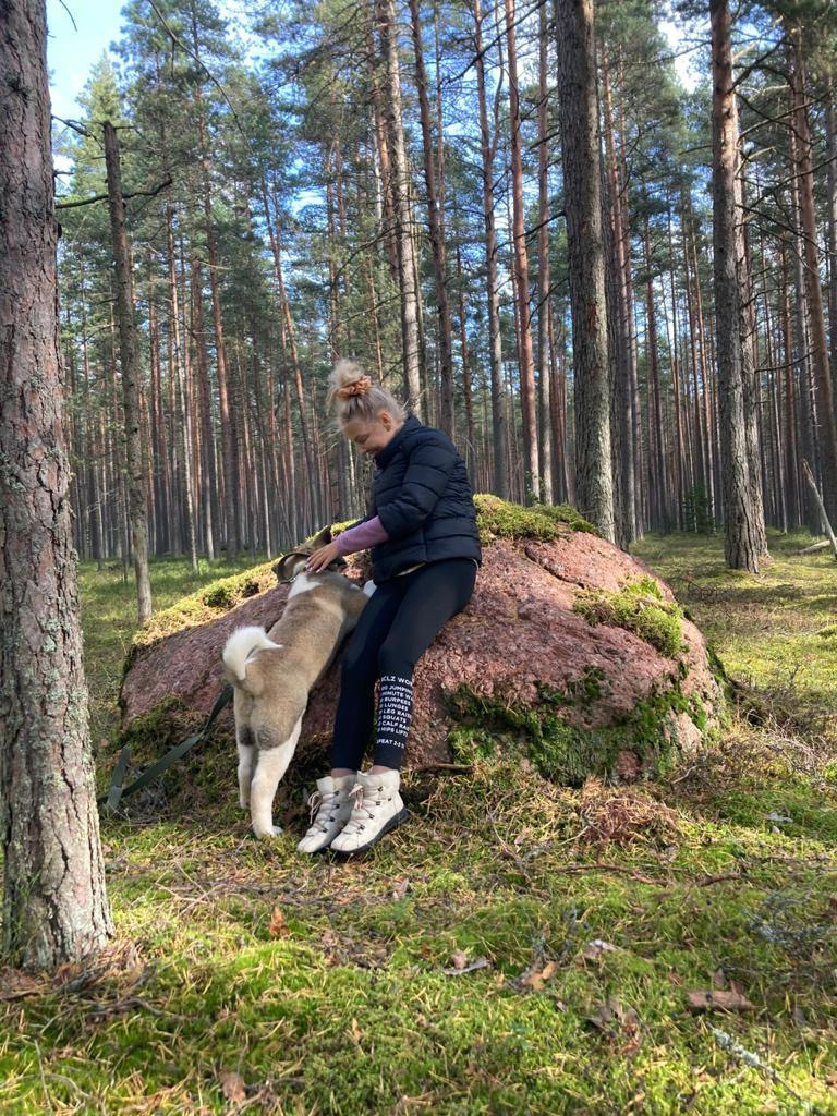 Бриз * ORSON UELLS американская акита