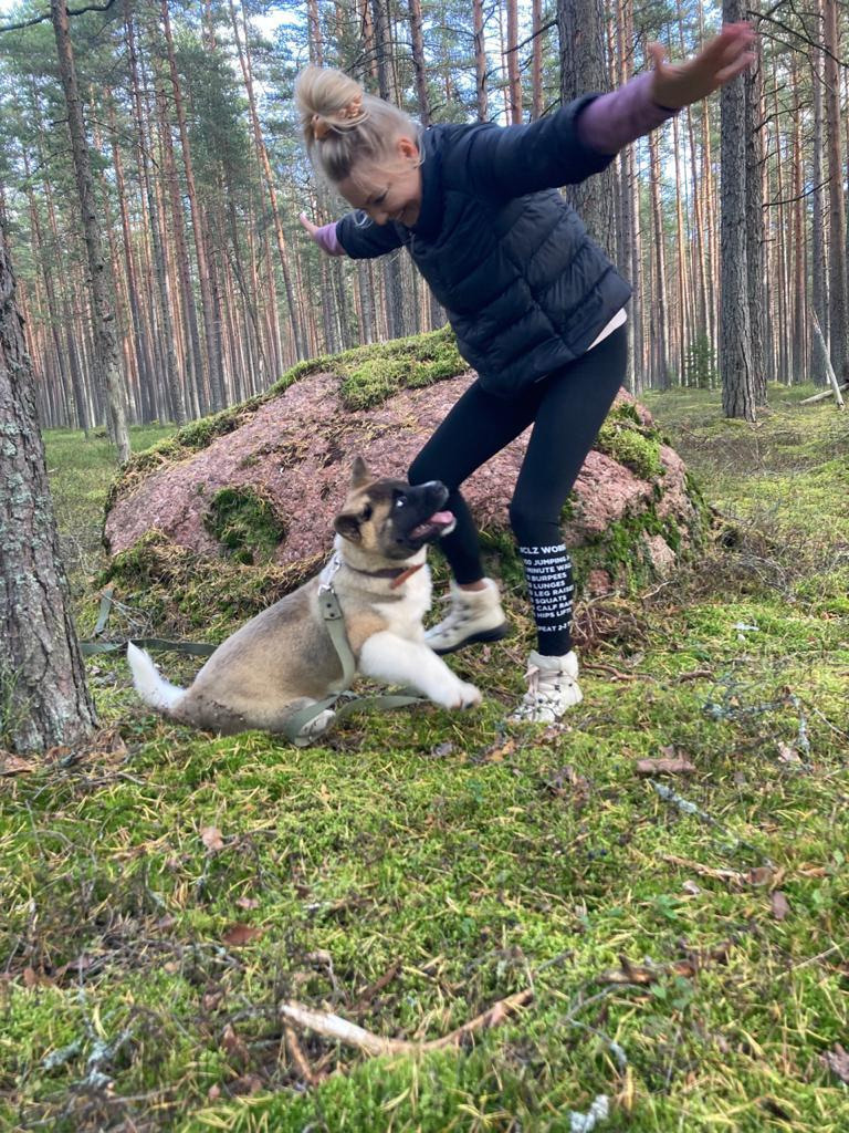 Бриз * ORSON UELLS американская акита