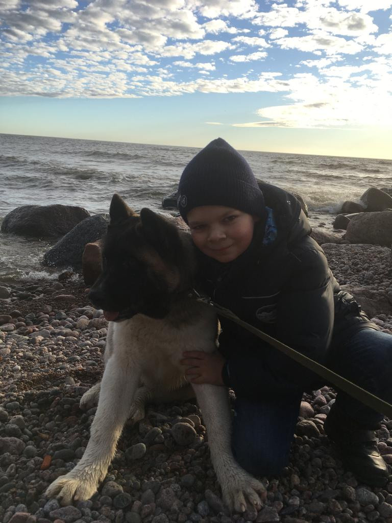 Бриз * ORSON UELLS американская акита