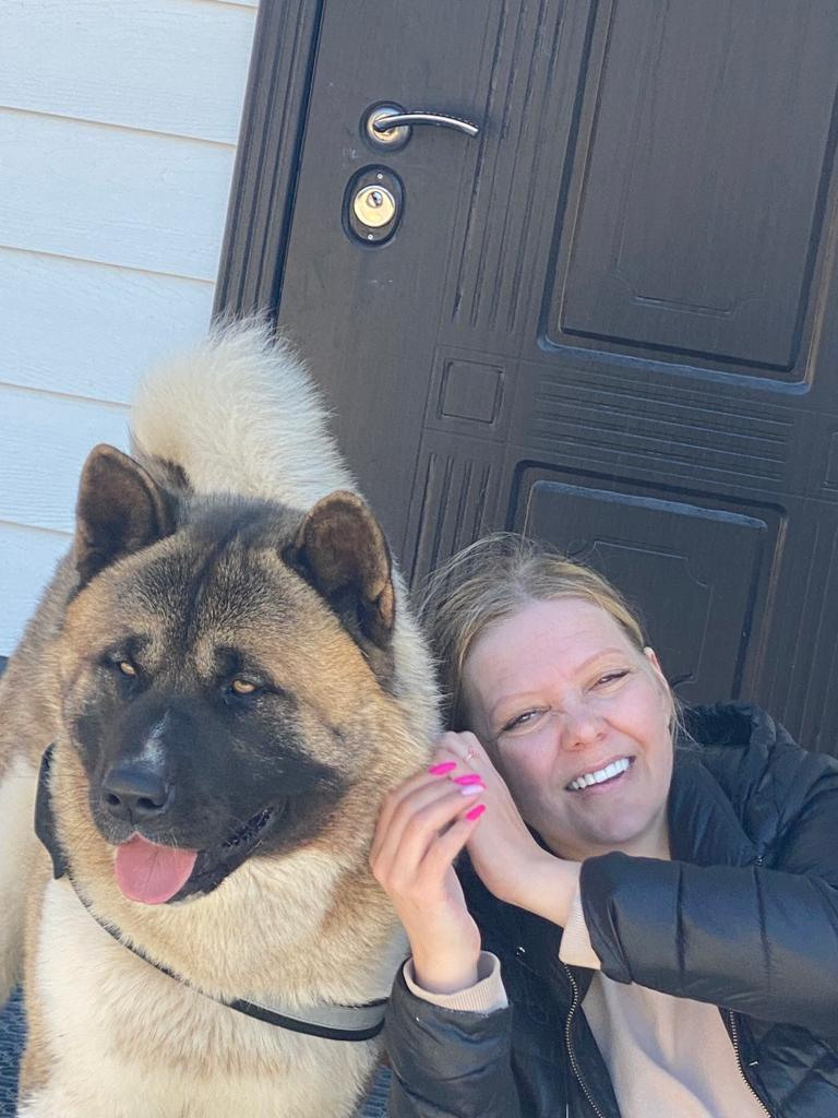 Бриз * ORSON UELLS американская акита