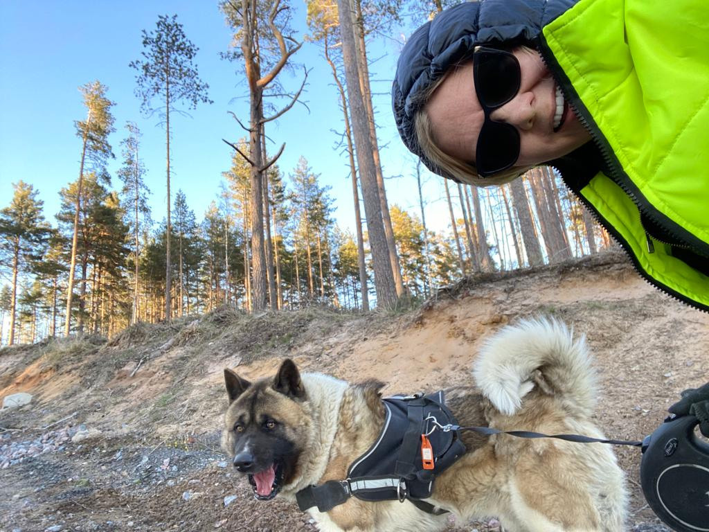 Бриз * ORSON UELLS американская акита