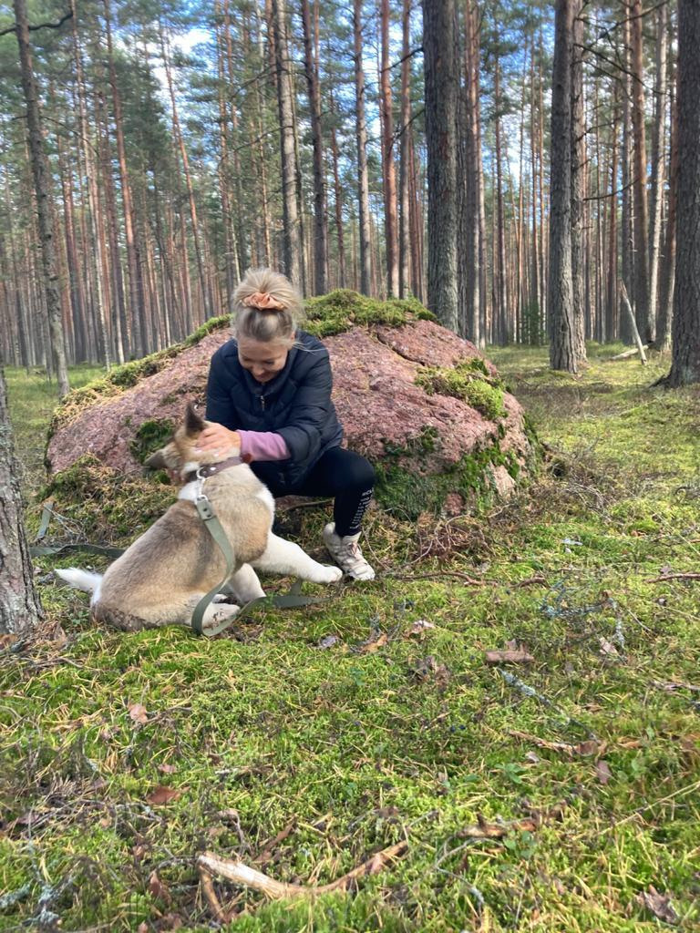 Бриз * ORSON UELLS американская акита