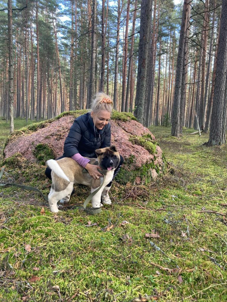 Бриз * ORSON UELLS американская акита