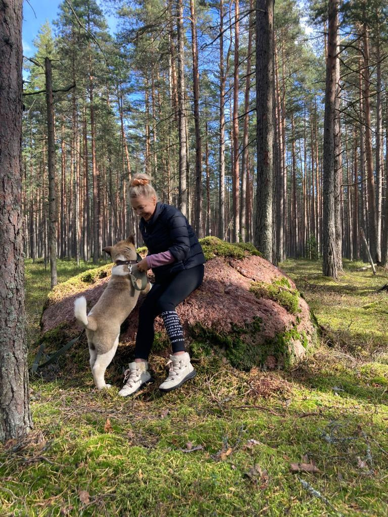 Бриз * ORSON UELLS американская акита