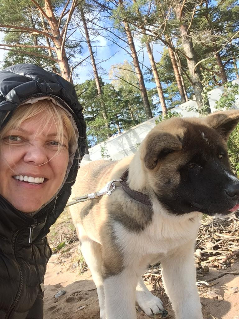 Бриз * ORSON UELLS американская акита