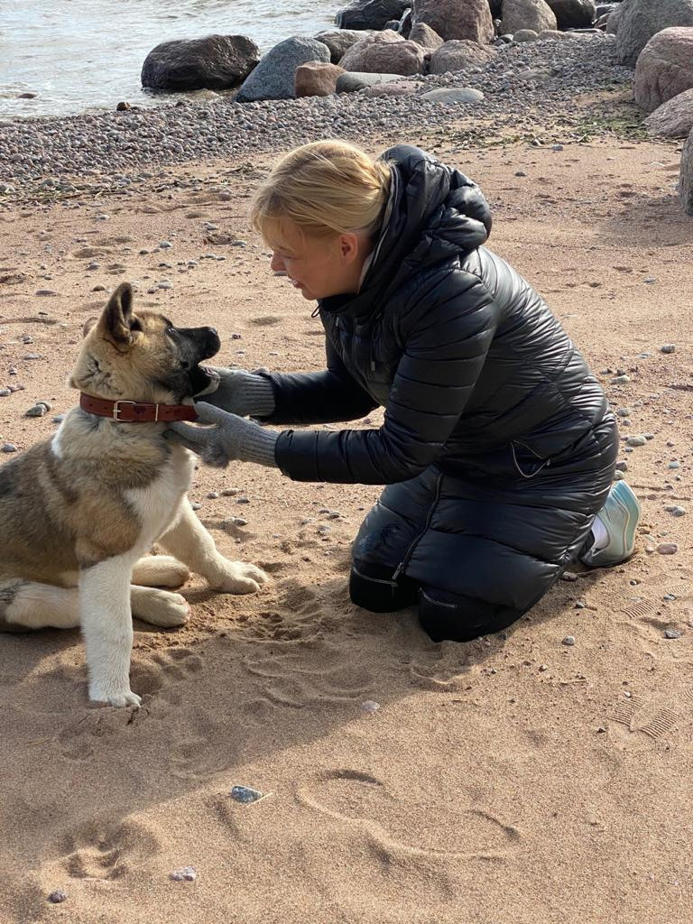Бриз * ORSON UELLS американская акита