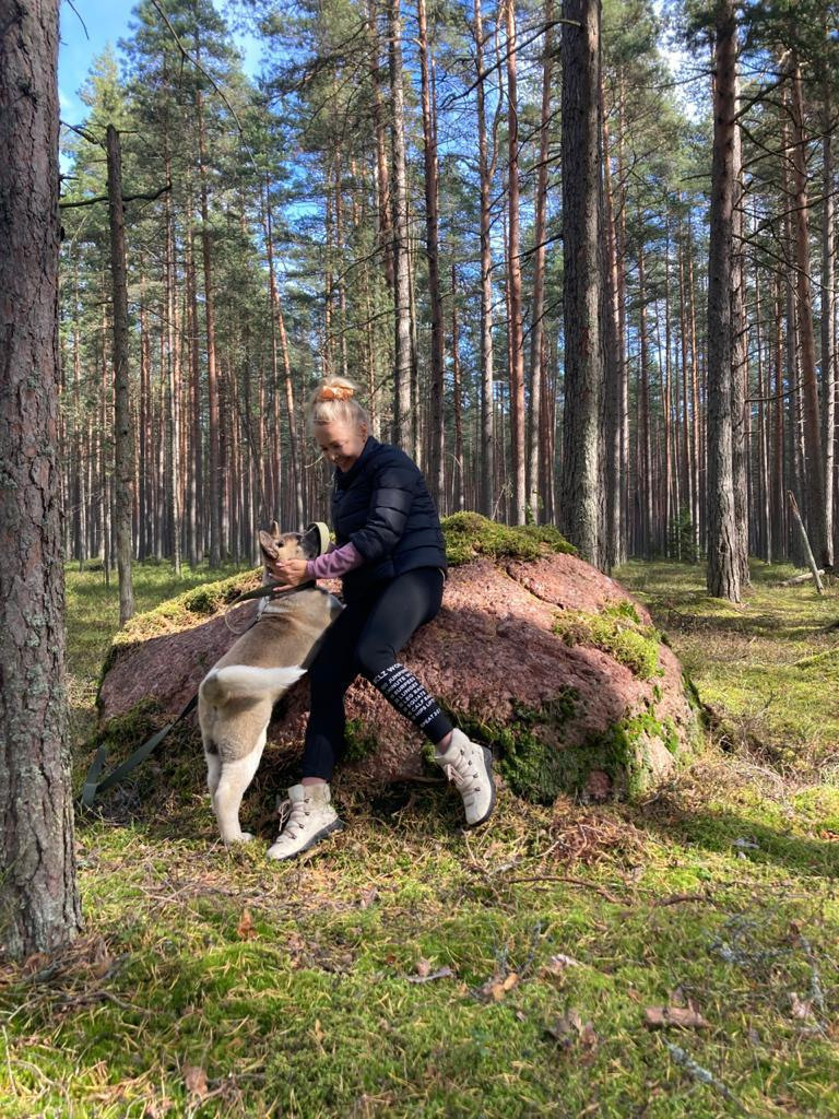 Бриз * ORSON UELLS американская акита