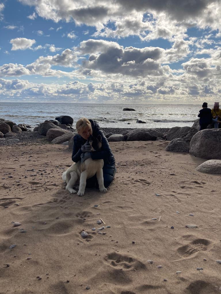 Бриз * ORSON UELLS американская акита