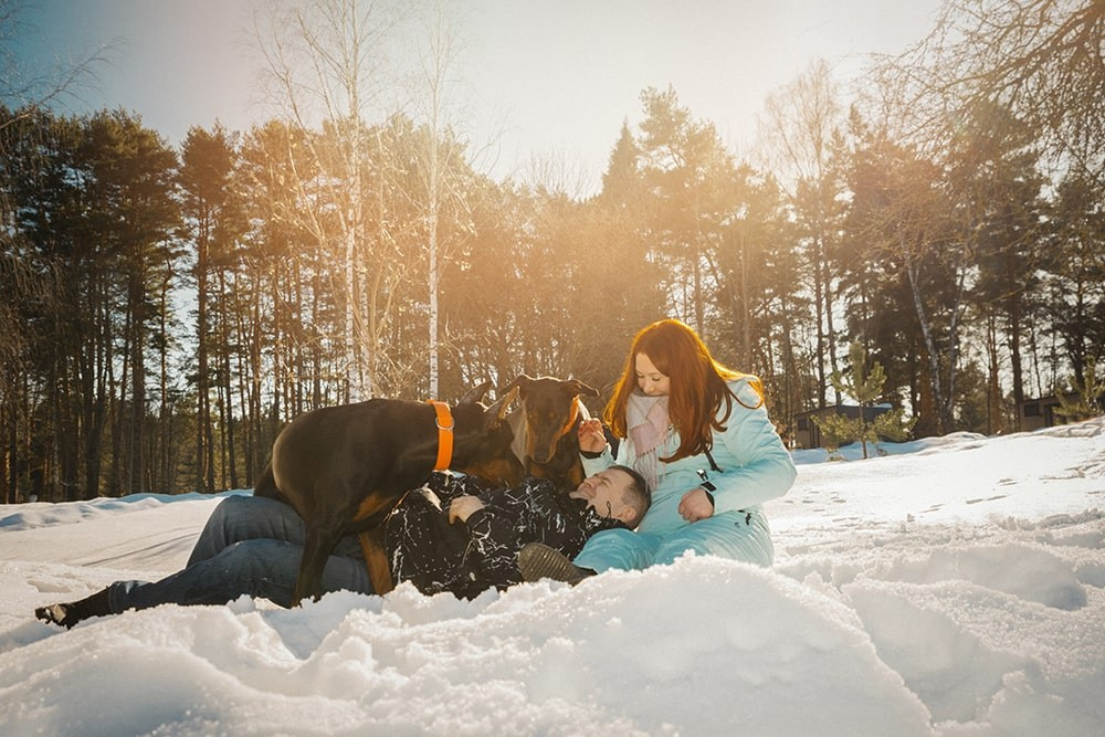Любовь и доберманы