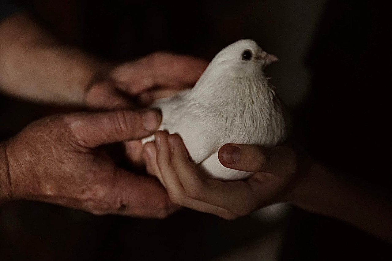 Дети. «Книжка с картинками» Фотограф Наталья Цыбина
