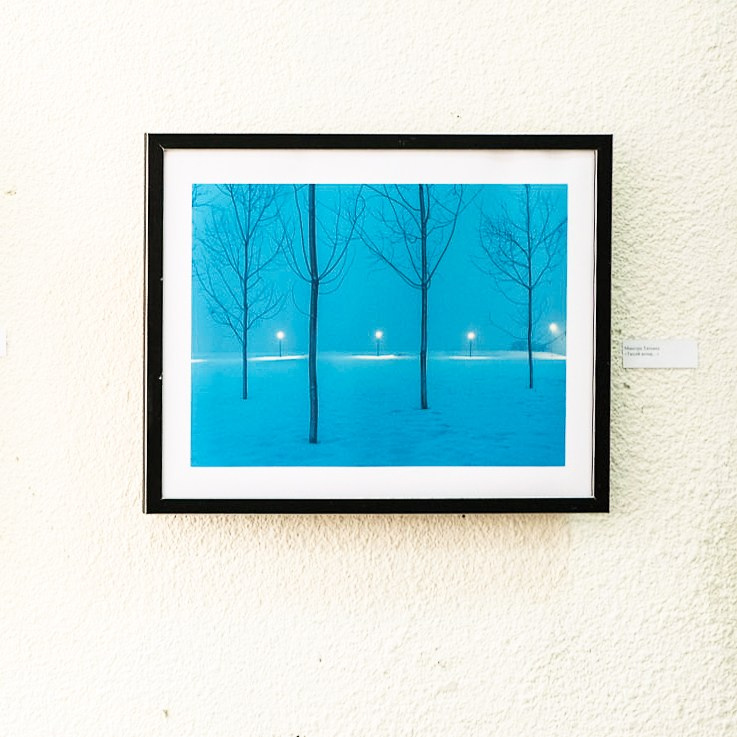 Выставка в Краснодаре 2024. Фотограф в Москве Татьяна Макотра