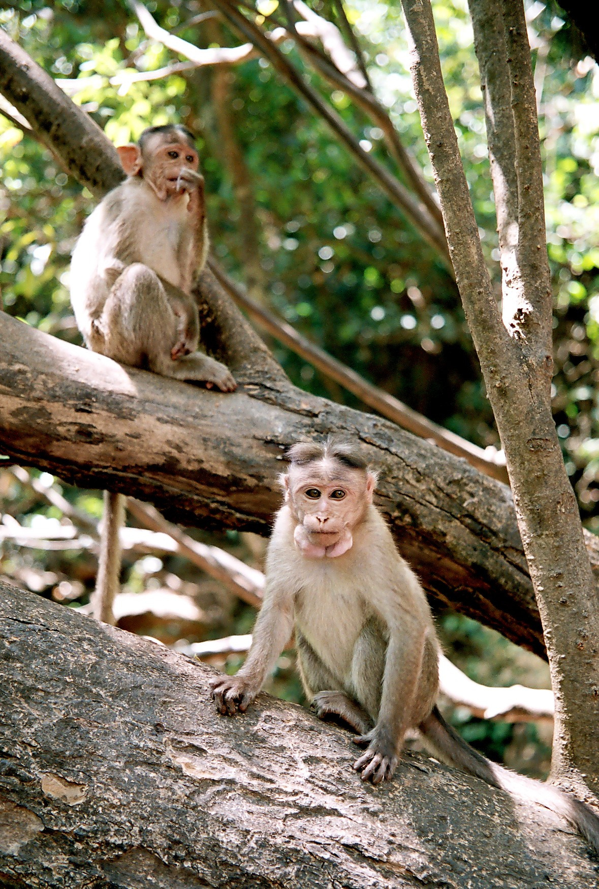ГОА_2, 2005. Семейный фотограф в Новороссийске Игорь Белослюдцев