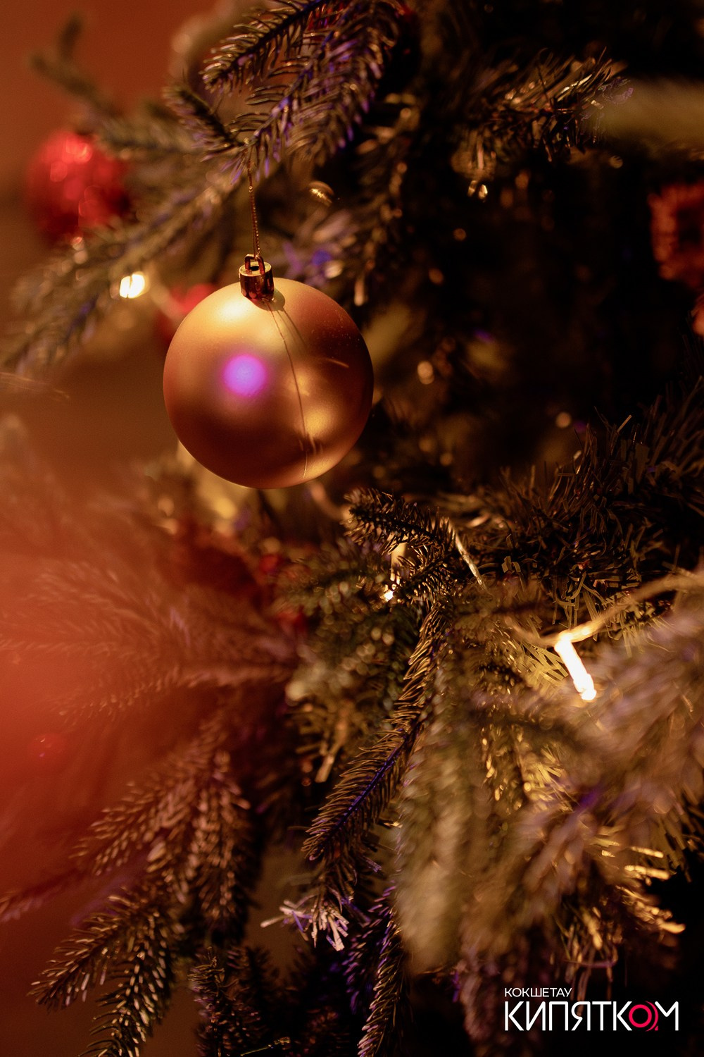 ШАШЛЫЧНЫЙ ДВОР. КИПЯТКОМ КОКШЕТАУ