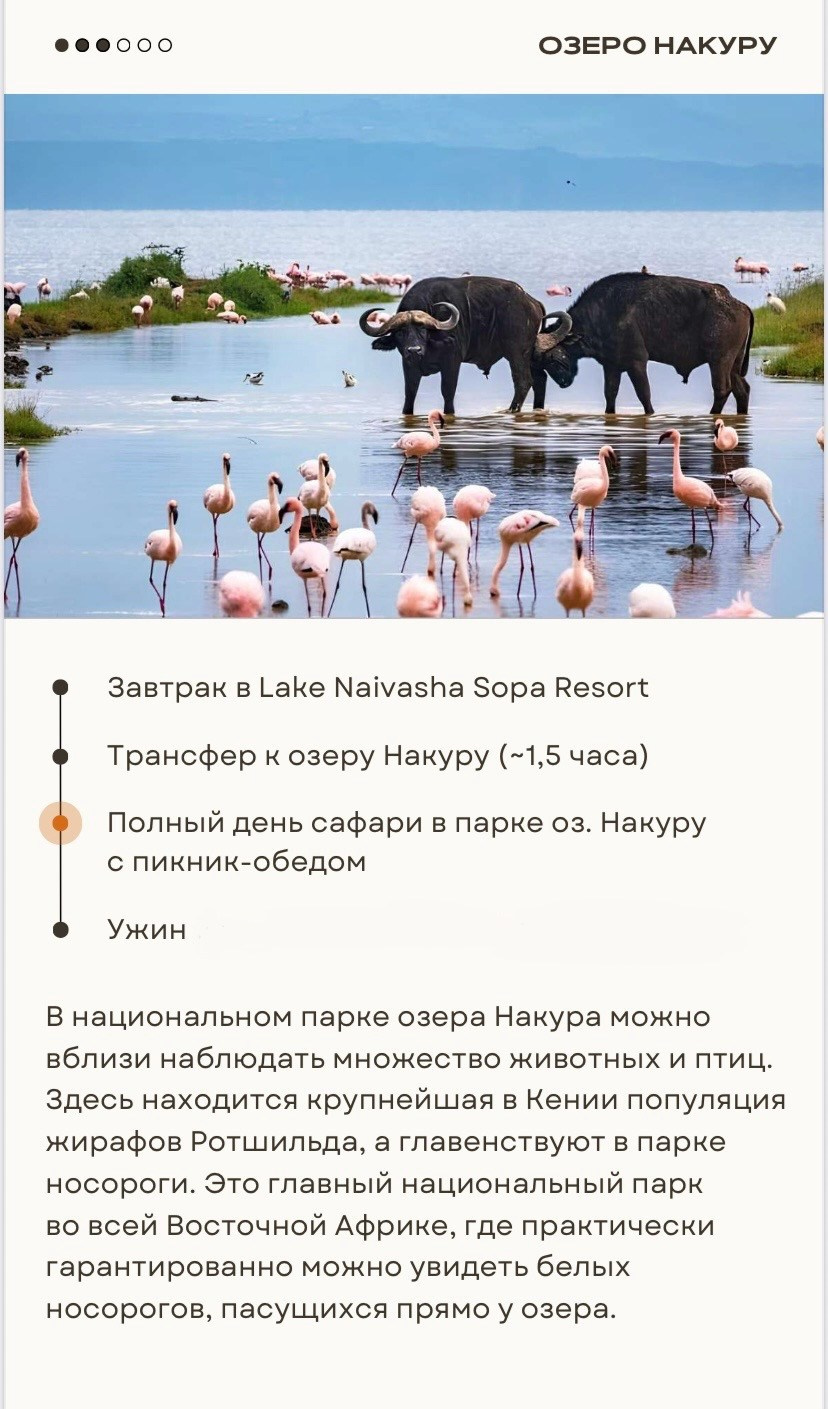 КЕНИЯ 20-26,03. Семейный фотограф, фотосессия беременности в Новосибирске Кристина Киб