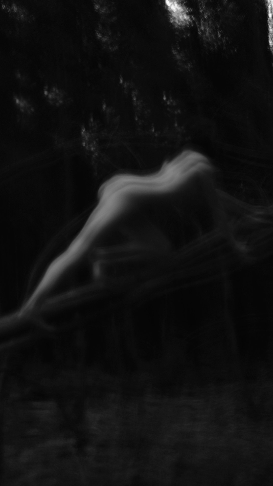 In forest. Vanyazaramkami