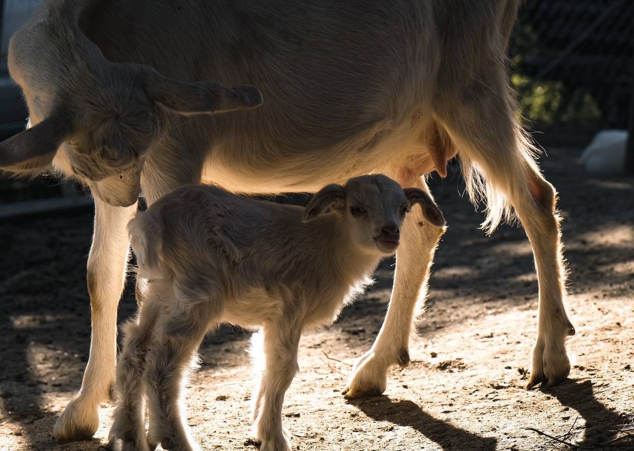 Документалистика. Фотохудожник в Санкт-Петербурге Вурал Мелиса