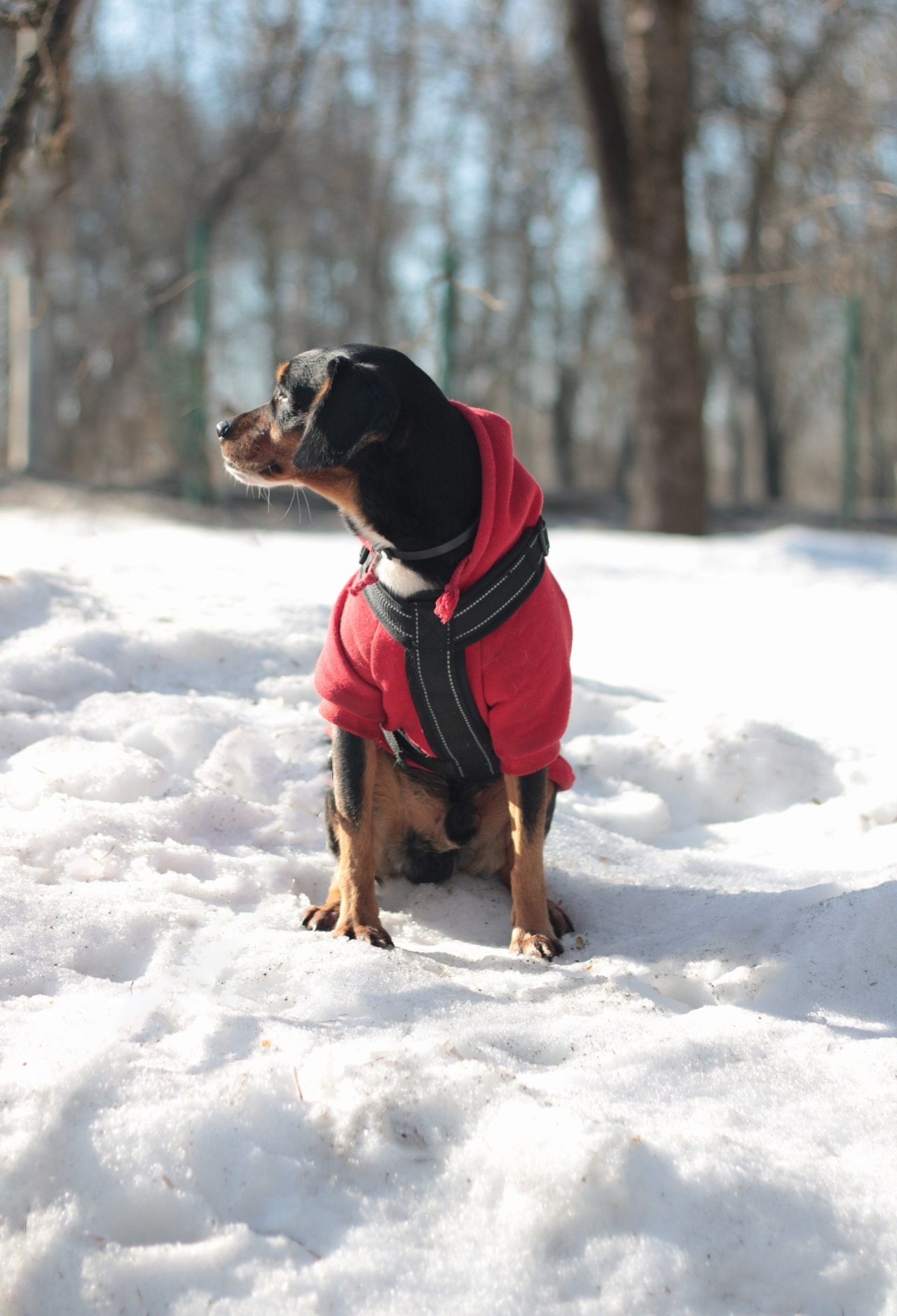 Маша и Кекс. Катя Попова|ЛайфСтайл фотограф