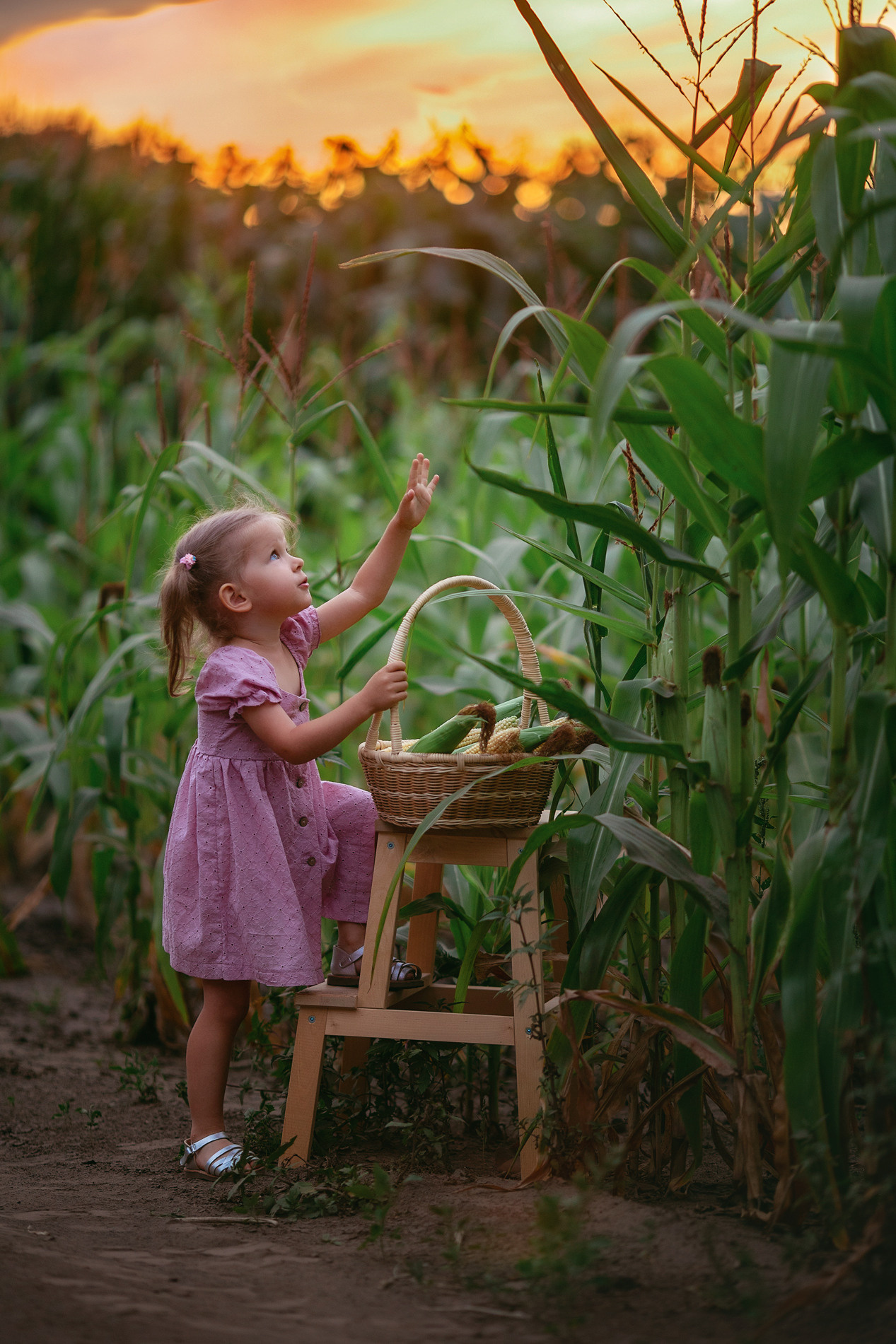 Лето в кукурузе. Family and children’s photographer |Russia| Anastasia Perepelkina