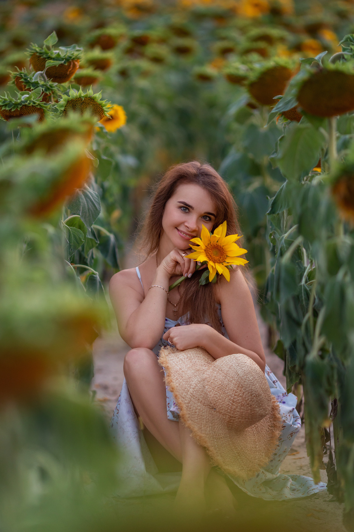 Подсолнухи. Семейный и детский фотограф |Брянск| Анастасия Перепелкина