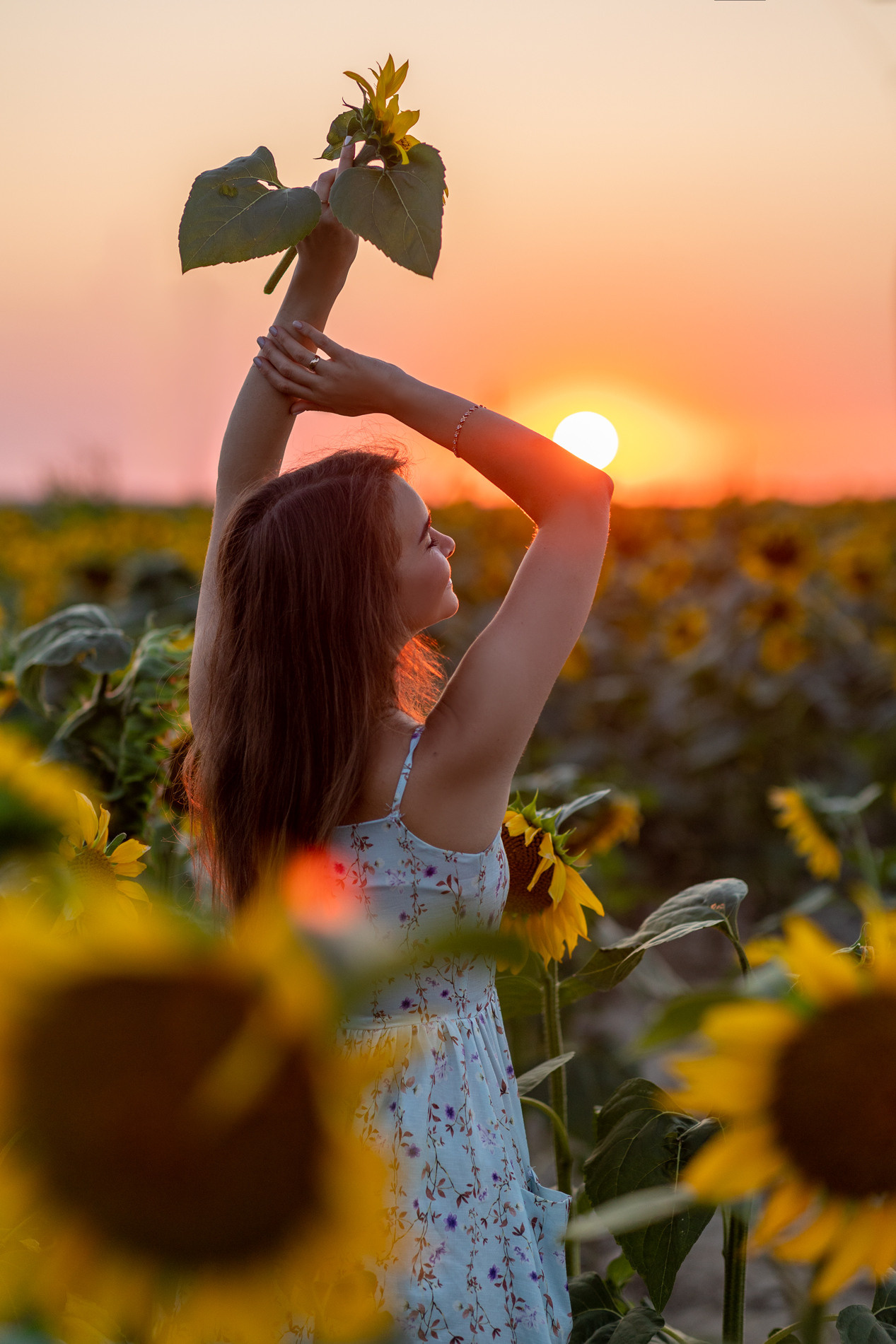 Подсолнухи. Семейный и детский фотограф |Брянск| Анастасия Перепелкина
